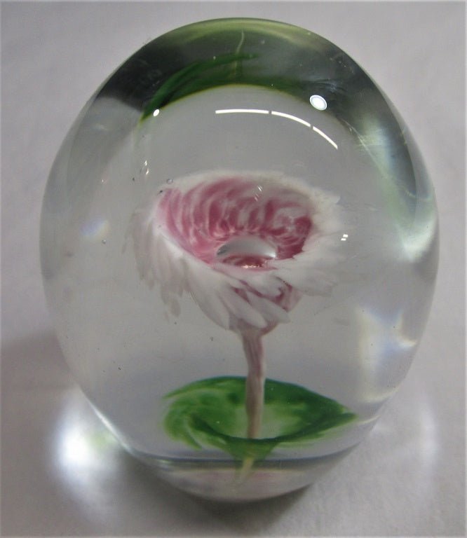 Signed by Artist Paterson Art Glass Paperweight [82323 - Cactus Jax Unique Collectibles